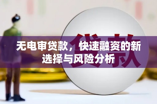 利津无电审贷款，快速融资的新选择与风险分析