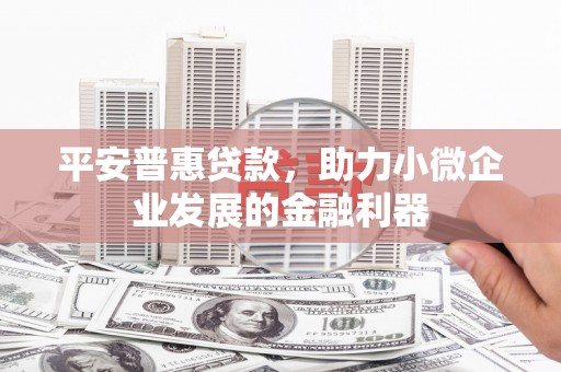 阳西平安普惠贷款，助力小微企业发展的金融利器
