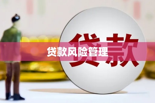 盐津贷款风险管理