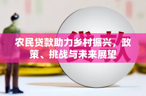 芦竹农民贷款助力乡村振兴，政策、挑战与未来展望