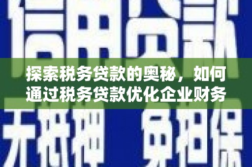 定远探索税务贷款的奥秘，如何通过税务贷款优化企业财务