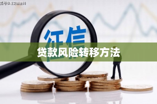 东台贷款风险转移方法