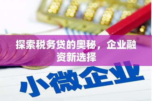 学甲探索税务贷的奥秘，企业融资新选择