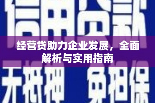 汉源经营贷助力企业发展，全面解析与实用指南