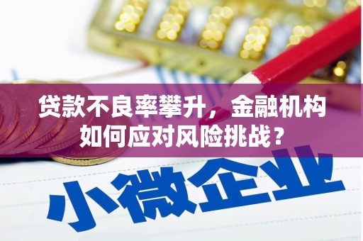 宜丰贷款不良率攀升，金融机构如何应对风险挑战？