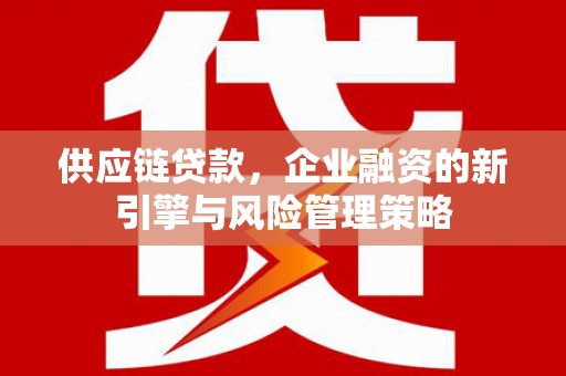 临沧供应链贷款，企业融资的新引擎与风险管理策略