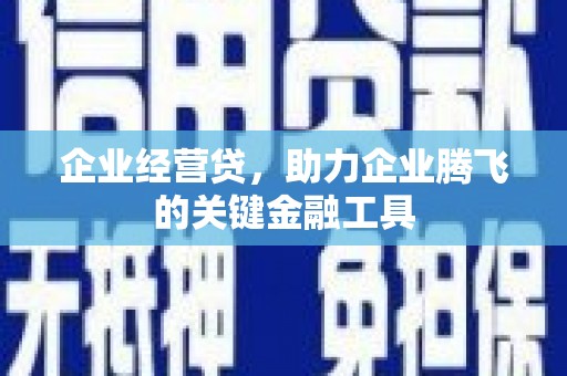 安乡企业经营贷，助力企业腾飞的关键金融工具