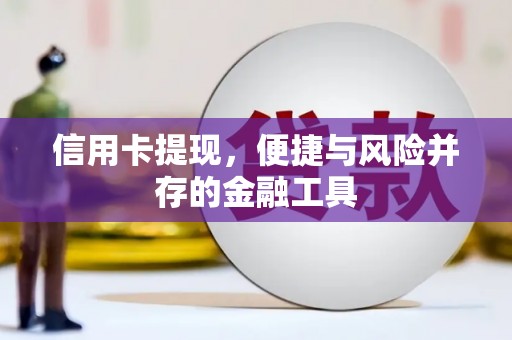 囊谦信用卡提现，便捷与风险并存的金融工具