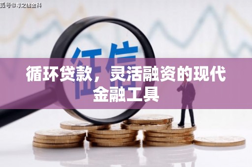 南溪循环贷款，灵活融资的现代金融工具