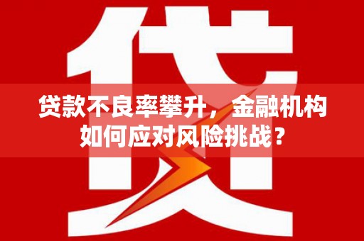 镇赉贷款不良率攀升，金融机构如何应对风险挑战？
