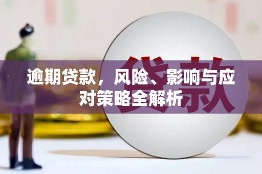 新津逾期贷款，风险、影响与应对策略全解析