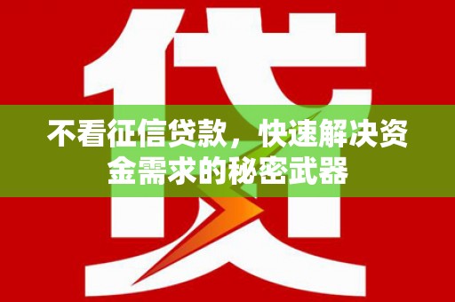 西和不看征信贷款，快速解决资金需求的秘密武器