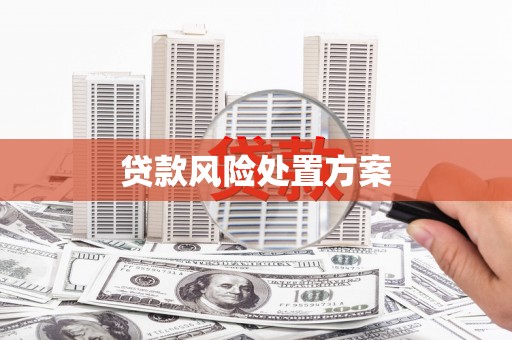 定陶贷款风险处置方案
