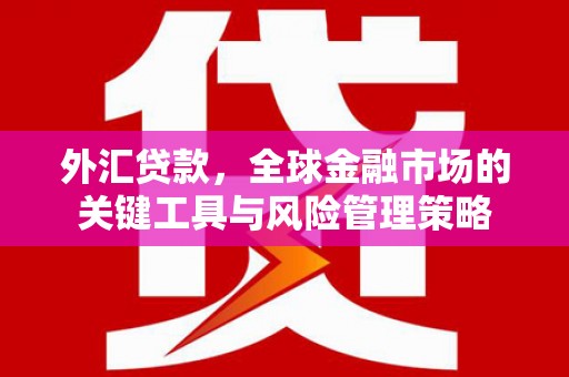 榆林外汇贷款，全球金融市场的关键工具与风险管理策略