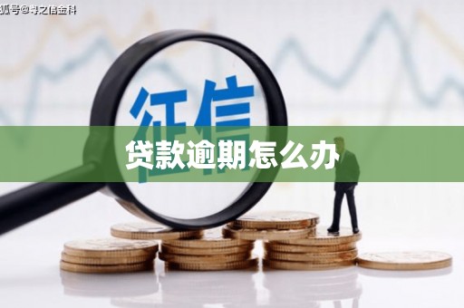 遂宁贷款逾期怎么办