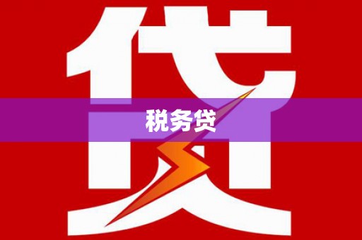 马公税务贷