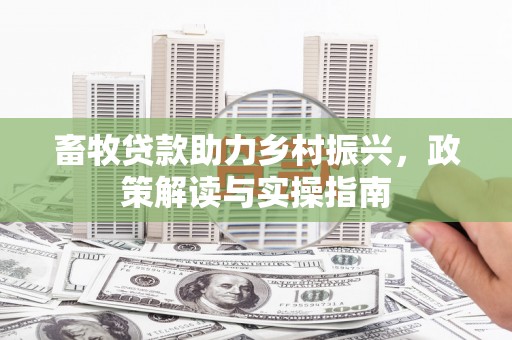 亳州畜牧贷款助力乡村振兴，政策解读与实操指南
