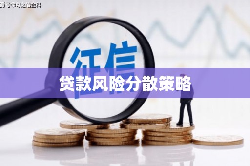 兴山贷款风险分散策略