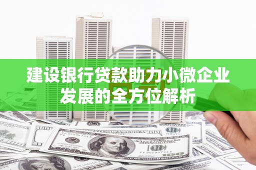 阜沙建设银行贷款助力小微企业发展的全方位解析