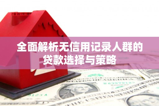 新泰全面解析无信用记录人群的贷款选择与策略