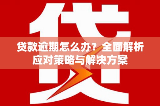 天元贷款逾期怎么办？全面解析应对策略与解决方案