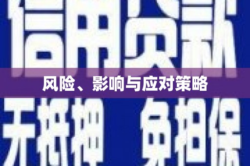 成县风险、影响与应对策略