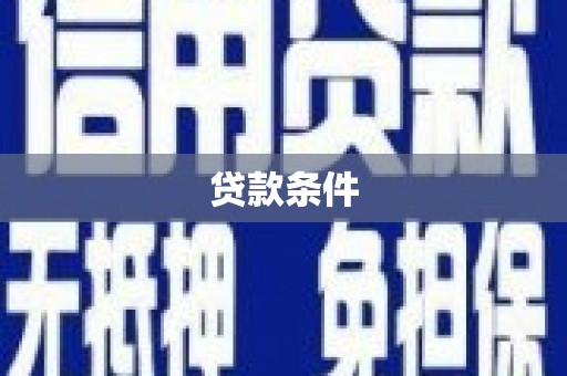 岳塘贷款条件